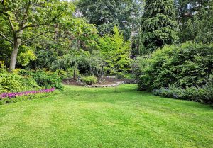 Optimiser l'expérience du jardin à Noyelles-Godault